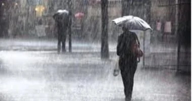 202603301041224122_105