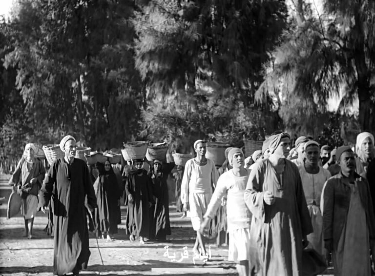 FB_IMG_1776095084790