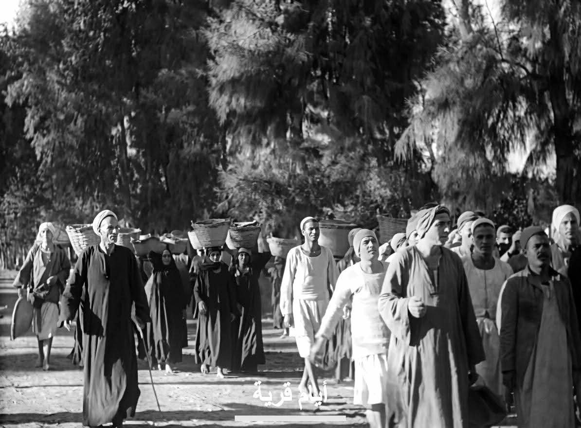 FB_IMG_1776095084790