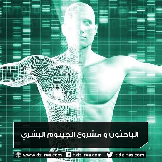 images - 2026-04-14T141207.584